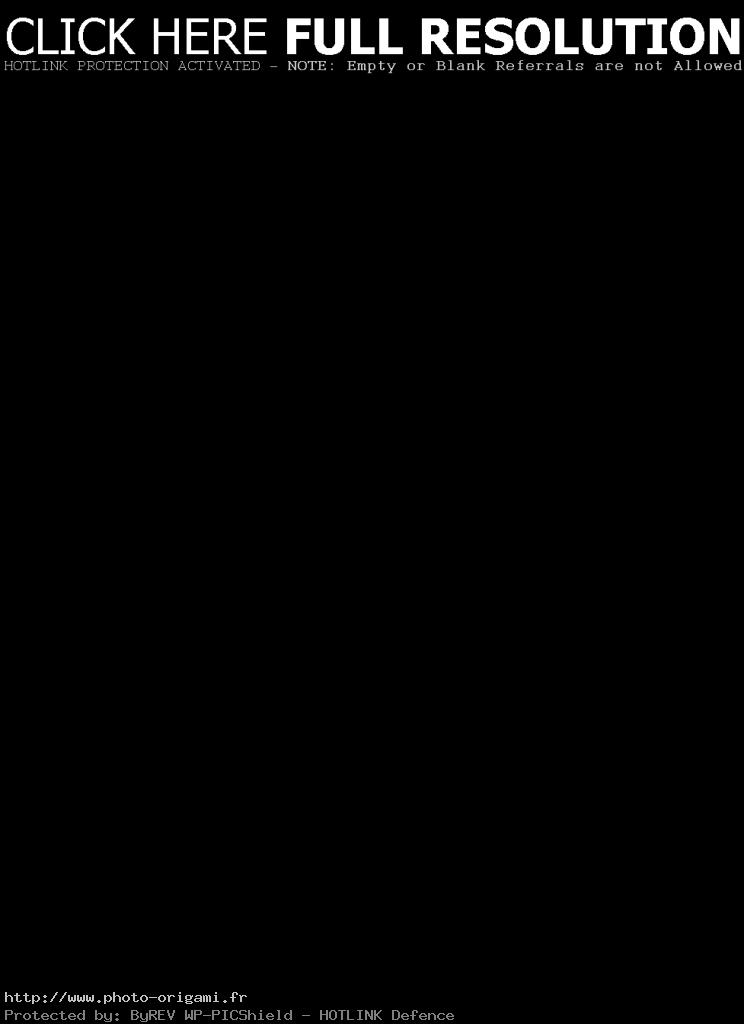 origami grenouille sauteuse